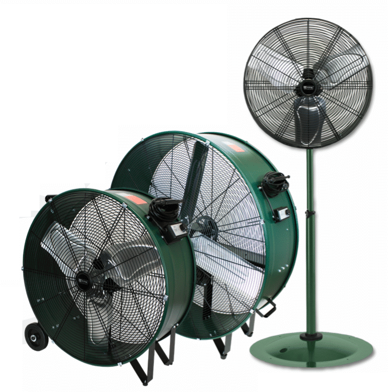 What's New Electrical Lines, LLC